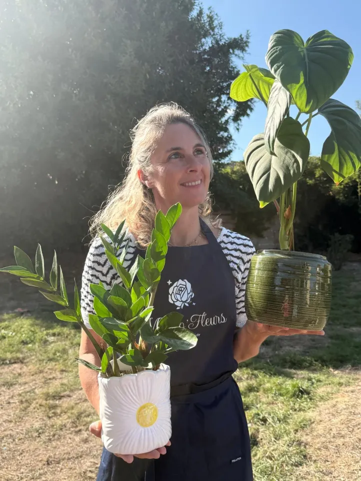Plantes vertes d'intérieur en pots de terre cuite dans la boutique
